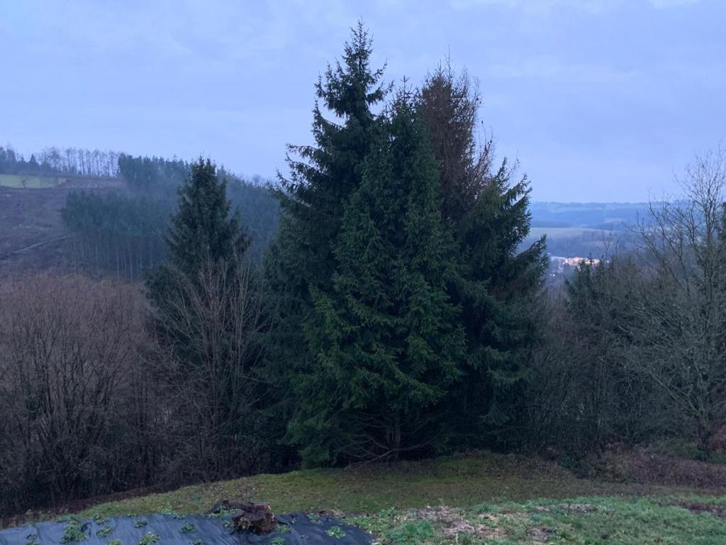Terrasses De Malmedy Connecto Duplex 435 & 436 En Studio 336 Zewnętrze zdjęcie